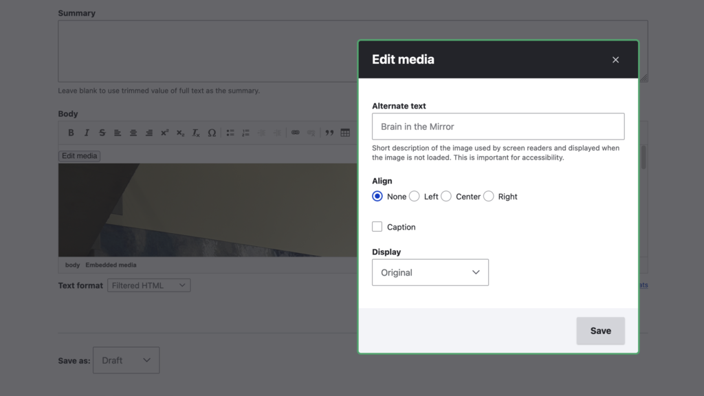 Screenshot of the media popup modal in Drupal